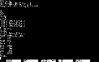 PC-DOS 画像ファイル情報